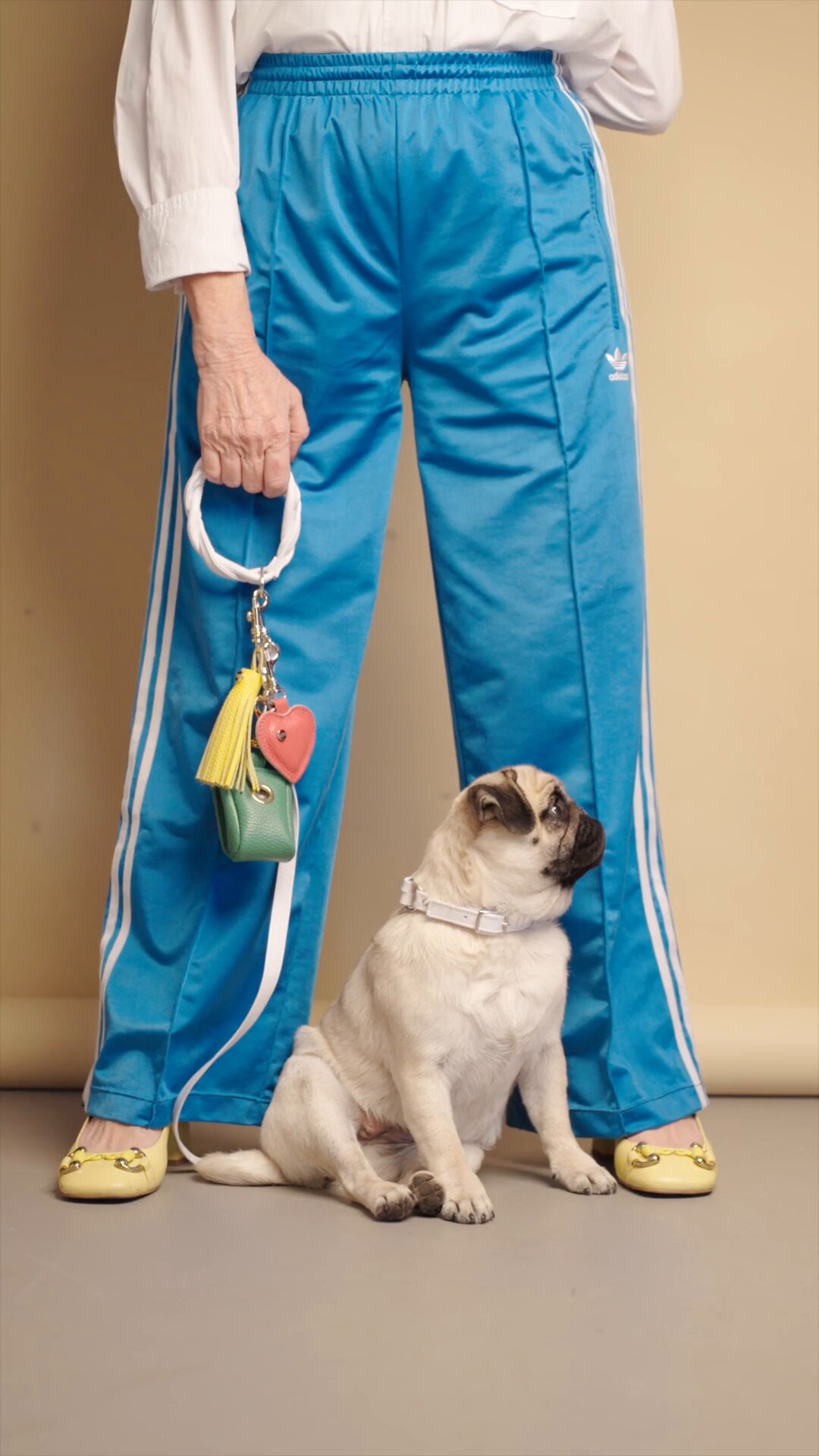 Gaya Marques Pinto: Quando a moda canina ganha um toque de glitter