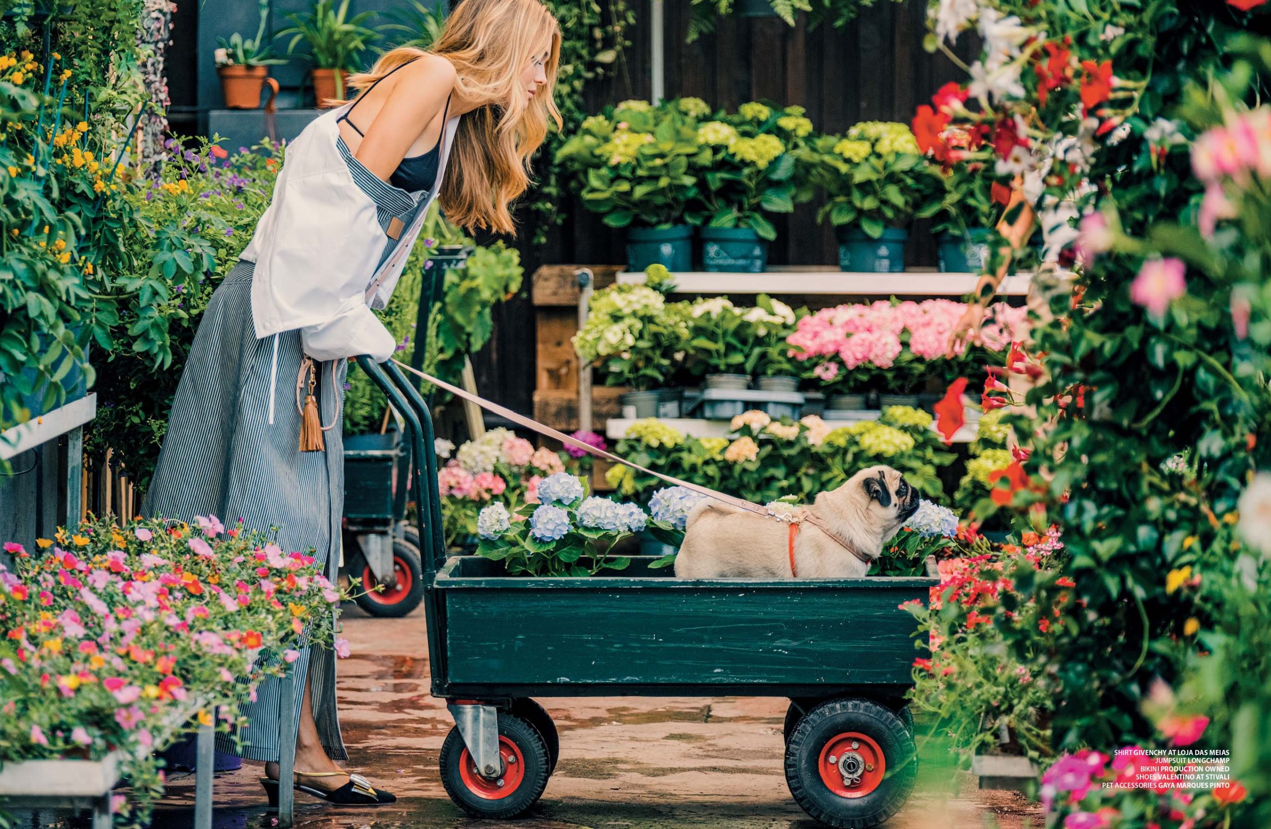 Cultivating Style 