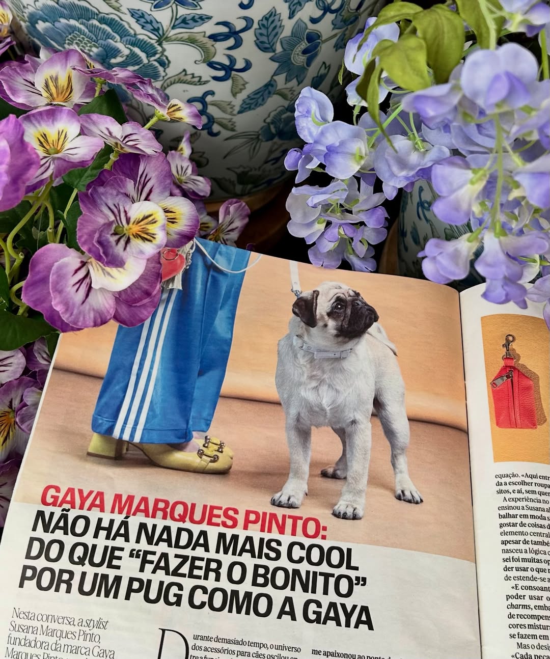 Gaya Marques Pinto: não há nada mais cool do que “fazer o bonito” por um pug como a Gaya